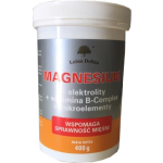 Leśna Dolina - Magnesium - 400g (magnez + elektrolity + witamina B + makroelementy) (termin ważności: 12.2026r.)